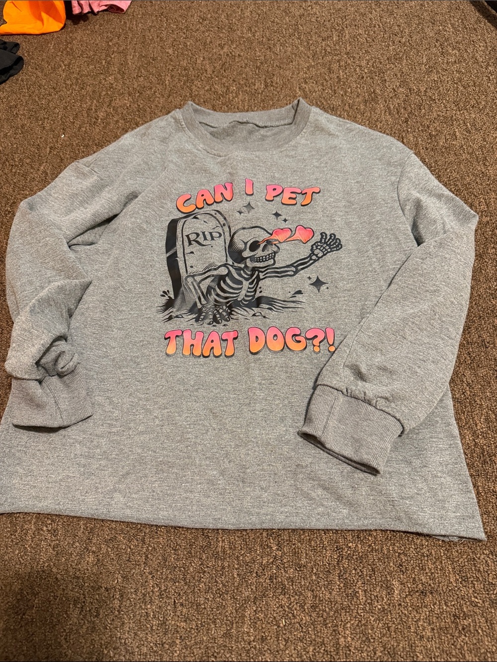 Gray 'Can I Pet That Dog?!' Graphic Dog Lover Sweatshirt